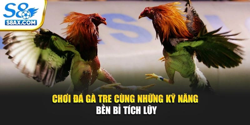 Chơi đá gà tre cùng những kỹ năng bền bỉ tích lũy