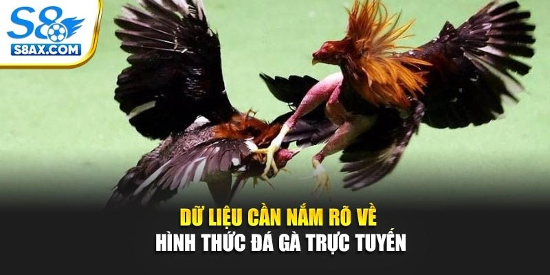 Dữ liệu cần nắm rõ về hình thức đá gà trực tuyến